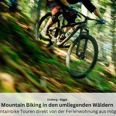 Ferienwohnungen Sauerland Und Olsberg Eksteriør billede