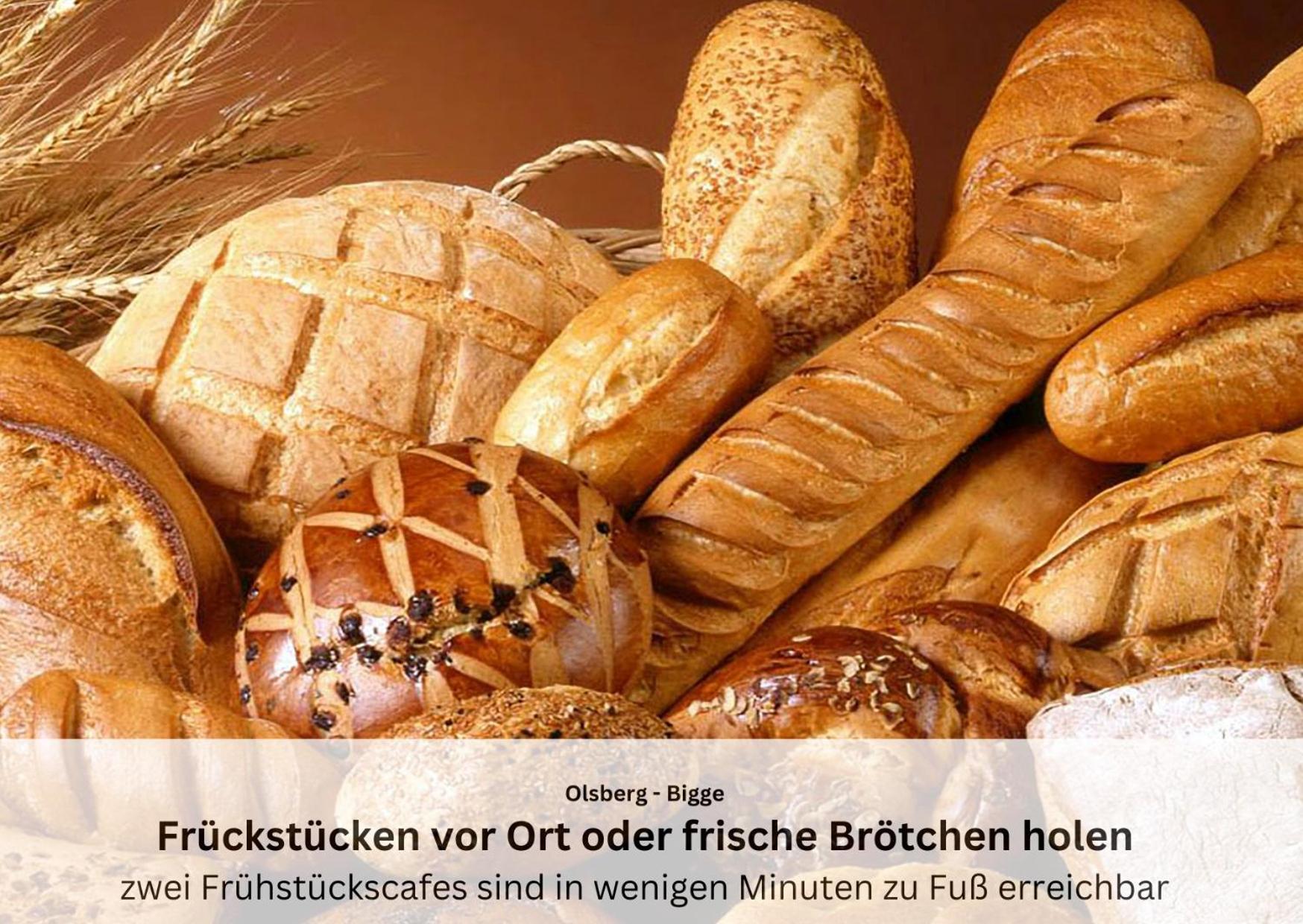 Ferienwohnungen Sauerland Und Olsberg Eksteriør billede