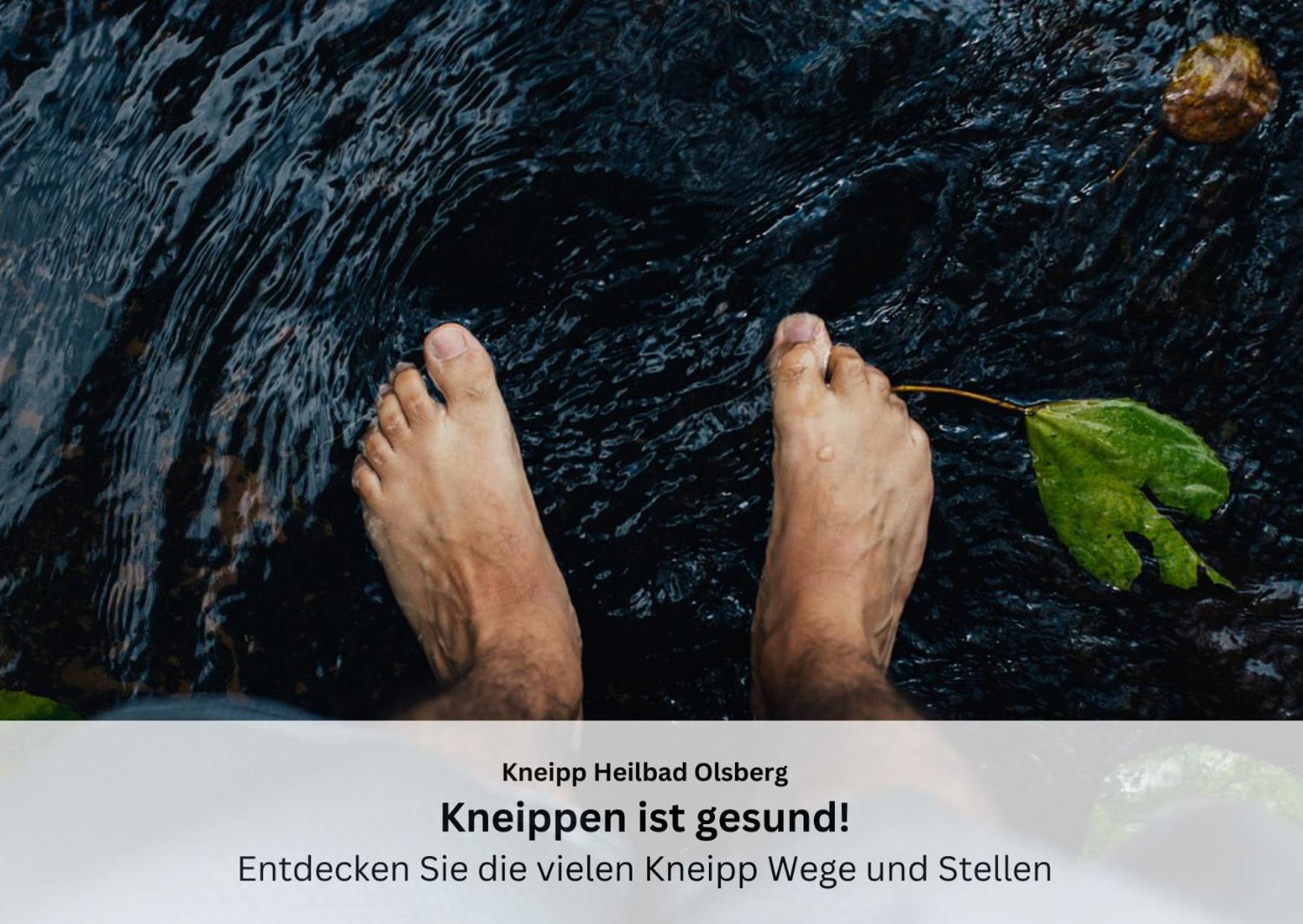 Ferienwohnungen Sauerland Und Olsberg Eksteriør billede
