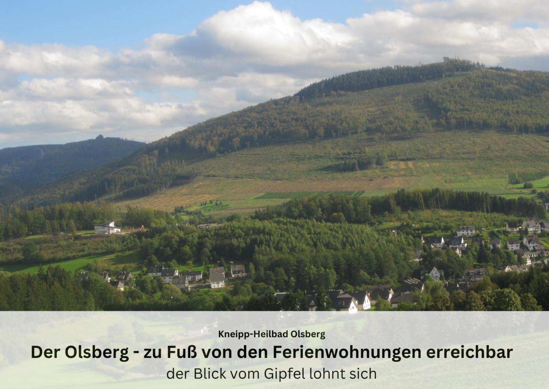 Ferienwohnungen Sauerland Und Olsberg Eksteriør billede