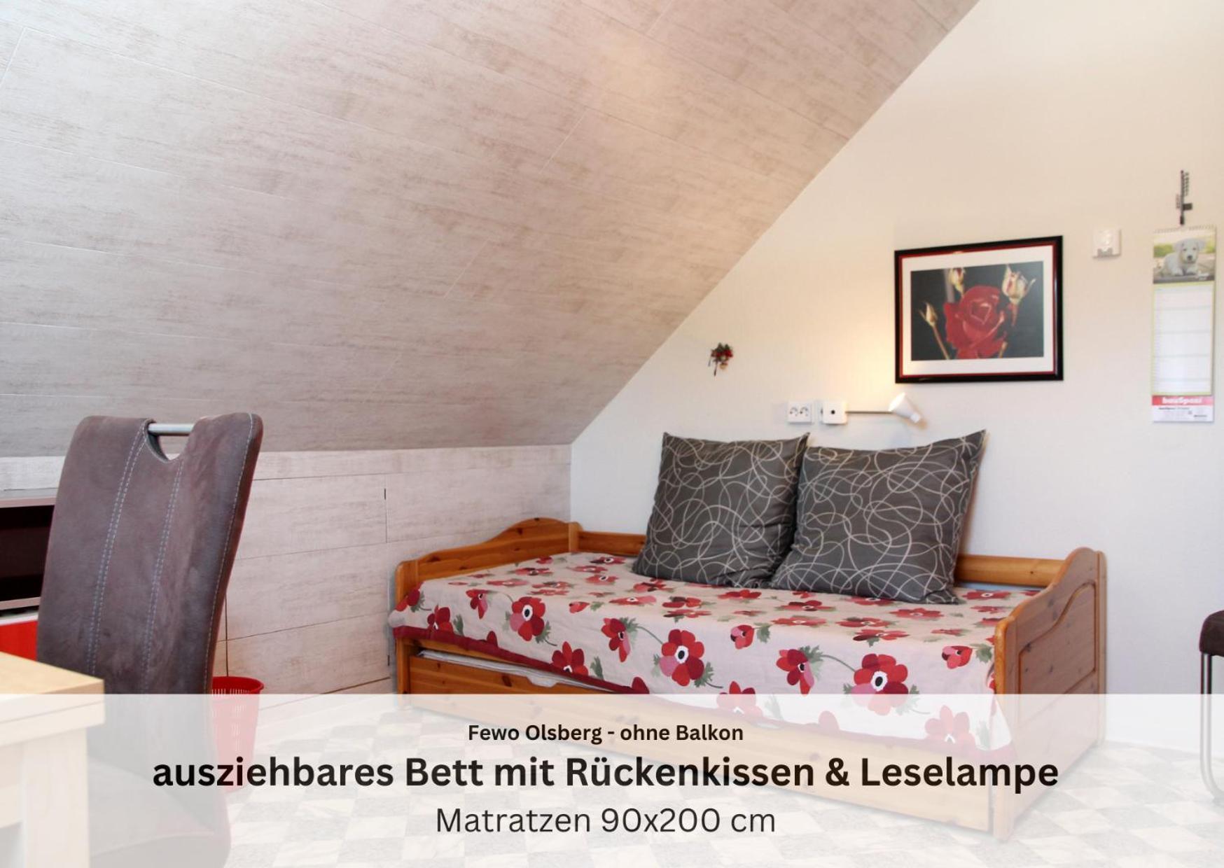 Ferienwohnungen Sauerland Und Olsberg Eksteriør billede