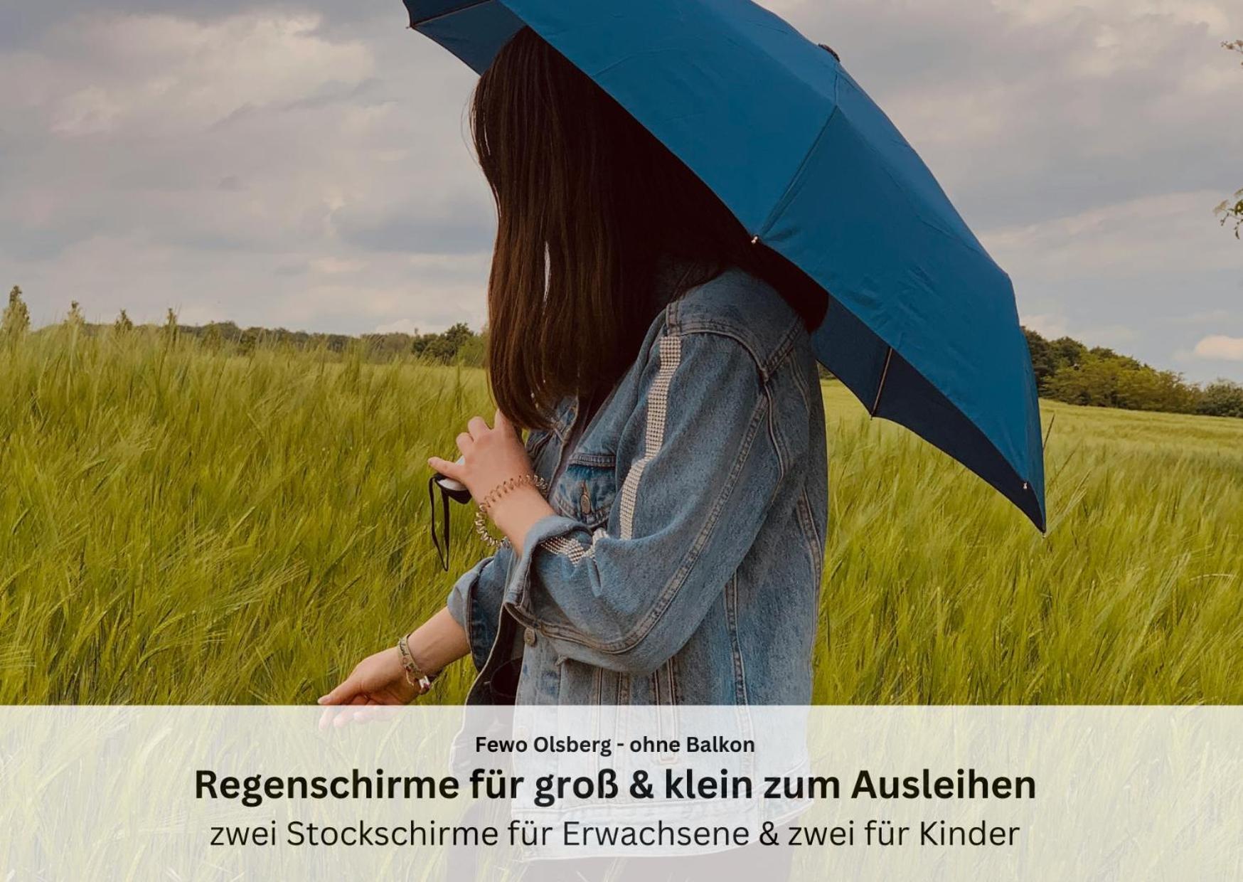 Ferienwohnungen Sauerland Und Olsberg Eksteriør billede