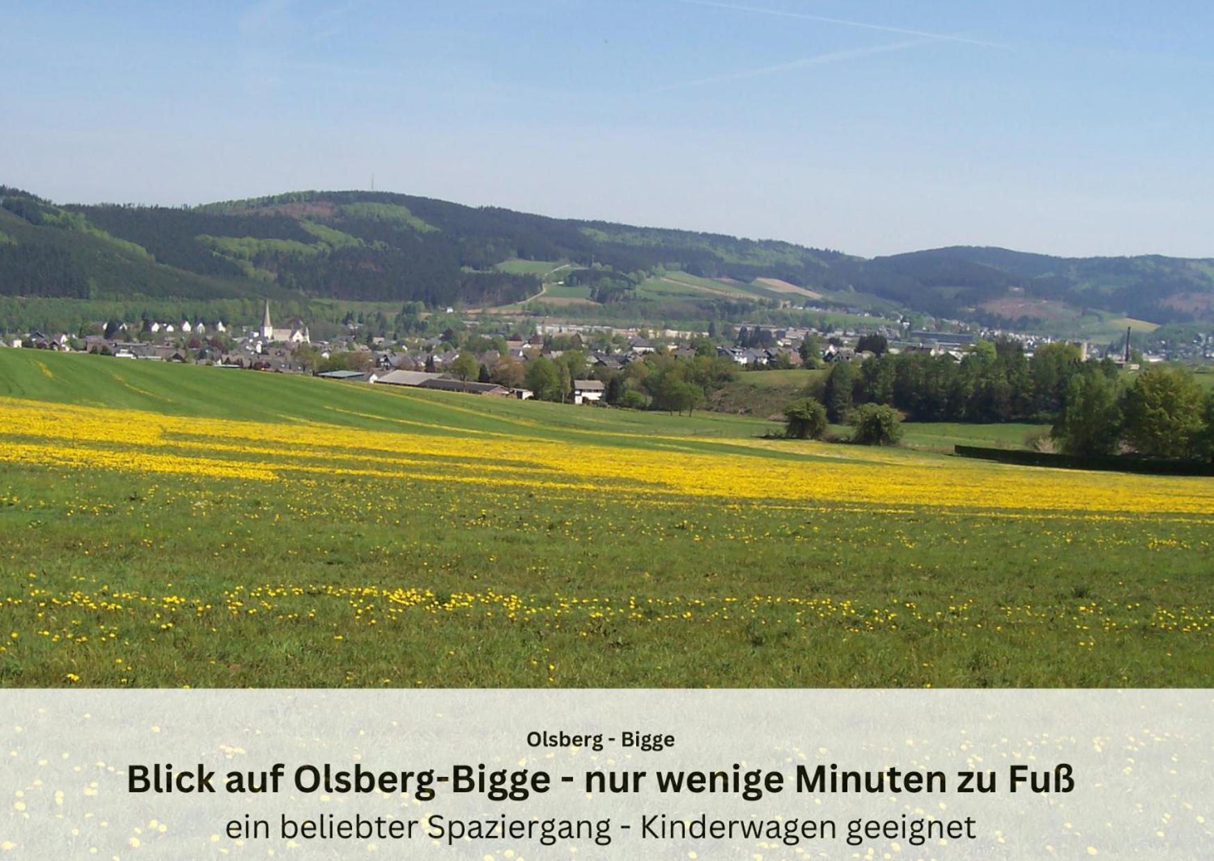 Ferienwohnungen Sauerland Und Olsberg Eksteriør billede